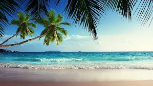 Fence ruins on the beach. Landscape Palm Trees Sea Tropical Beach Hd Wallpaper Wallpaperbetter