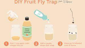 Get Rid Of Fruit Flies With A Homemade Fruit Fly Trap