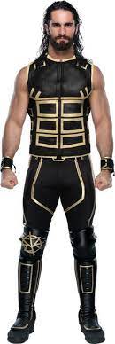 Pin By Ajay Valmik On Wwe Seth Rollins Seth Rollins Wwe Seth Rollins Seth Freakin Rollins