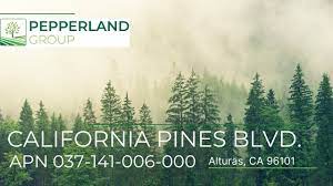 APN 037-141-006-000 California Pines Blvd - YouTube