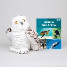 17.12.2020 · snowy owl adopt me adopt me christmas update 2020 adopt me christmas update 2020 petssnow owl and see what people trade for your snowy owl adoption ensures that our research, based out of utqiagvik, alaska, continues. Adopt A Wild Animal Snowy Owl