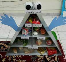 حلقة الهرم الغذائي وحدة الغذاء kids education childhood education toilet paper roll crafts