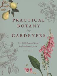 A primary division or leaflet of a divided leaf or frond. Practical Botany For Gardeners Over 3 000 Botanical Terms Explained And Explored By Fernando Ruz Chileangarden Issuu