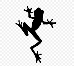 Welcome to our frog clipart category of classroom clipart. Frog Silhouette Clip Art Png 557x730px Frog Amphibian Art Black And White Frog Mug Download Free
