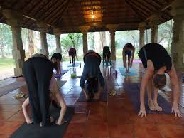 ashtanga yoga mysore style holistic