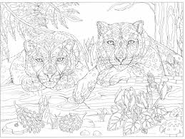We'd like to receive print files that are a minimum of 180 pixels per inch. Adult Coloring Pages To Save And Print