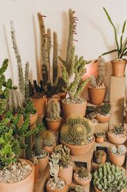 You just have to make sure that you know there are all kinds of different options out there and you need to make sure that. Meet Carlos Morera Of Hot Cactus La Gestalten Eu Shop