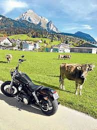 The Alps By Motorbike Motorcycle Travel Riding Motorcycle Alps