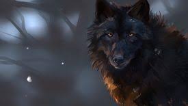 Siyah Kurt Duvar Kagidi Wallpaper Goruntuler Ile Siyah Kurtlar Hayvan Duvar Kagidi Hayvan