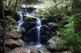 42 Fun Things To Do Places To Visit In Alabama In 2021 Places To Visit Waterfall Beautiful Places In The World