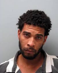 Vermilion narcotics agents arrest four