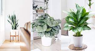Maybe you would like to learn more about one of these? Bon A Savoir Les Meilleures Recettes De Cuisine Faciles Et Simples Astuces Jardinage