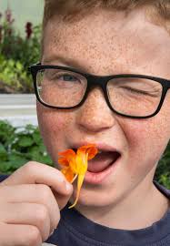 Får undervisning i åkeren