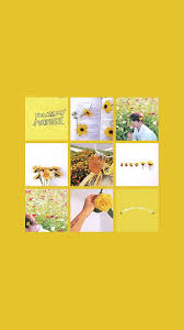 Wallpaper Exo Kolase Selebritas