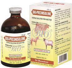 Image result for Prednisolone