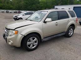 Image result for Gold Leaf 2010 Escape