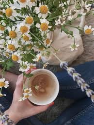 — es ist zwar erst sonntag, aber ich fühle mich schon vom montag belästigt. Guten Morgen Samstag Guten Morgen Kaffee Fres