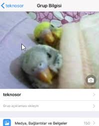 Whatsapp Arkadaslarimin Profil Resmini Indiremiyorum Sosyal Destek