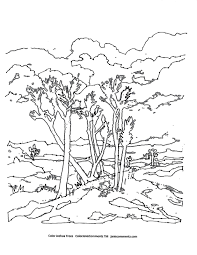 Introduce your child to a desert plant of the southwest and mojave desert, with this nature coloring page! Paper Goods Janis Commentz California Painter