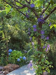 It has become one of the most original elements in our gardens. 20 Shade Garden Design Ideas That Prove You Can Grow Colorful Plants Anywhere Shade Garden Design Shade Garden Shade Plants