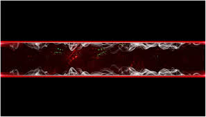 Youtube banner template no text 2560x1440 png. Youtube Banner In 2021 Youtube Banner Backgrounds Youtube Banners Youtube Banner Template