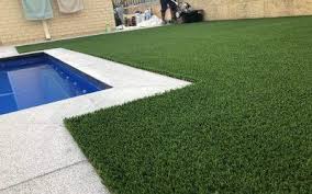 We did not find results for: Cool Pet Friendly Artificial Grass For Dogs Resource Guide