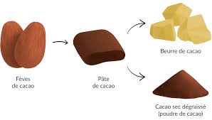 Le Chocolat C Est Bon Pour La Sante Yuka