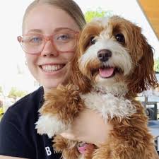 Gold Coast's cutest dogs 2020