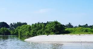 Taman hewan pematang siantar, kota pematangsiantar (pematangsiantar). 7 Gambar Pantai Sri Mersing Lokasi Dan Tiket Masuk Terbaru Pariwisata Sumut
