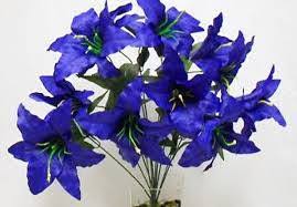 We cut these back every year to encourage branching and general maintenance. Royal Blue Flowers Home Facebook