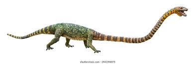 Image result for Tanystropheus