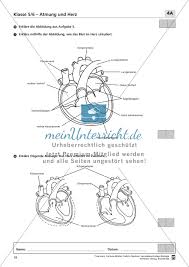 Telecharger Biologie 8 Klasse Herz Pdf Pdf Exercices Pdf Com