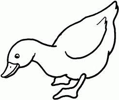 Printable duck coloring pages for kids page preschoolers pictures. Duck Coloring Pages Easy Novocom Top