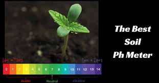 Having helped neighbors and fellow gardeners test their soil ph before planting anything, i've seen and used different types and brands of ph meters. The Best Soil Ph Meter For Indoor And Outdoor Plants In 2021