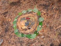 Outdoor Nature Art By Mrs Krupa Artfingers Art Is Elementary