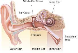 Medications may be prescribed for the treatment of inner ear infections associated labyrinthitis, and its symptoms like. Cholesteatoma Chad Ruffin Md
