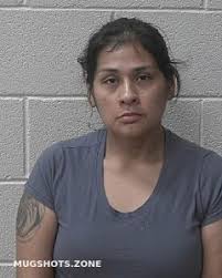 Alexander County Mugshots Zone