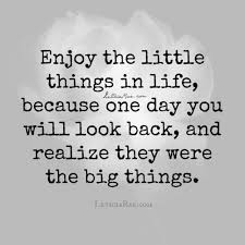 Enjoy The Little Things In Life For One Day You Ll Look Back And Realize They Were The Big Things Finding The Silver Lining Gratitude Changes Everything Inspirational Quotes Motivation Gratitude Quotes