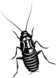 cockroach clipart free download transparent png creazilla cockroach clipart free download