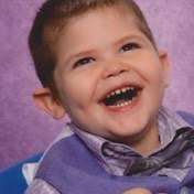 Steger Family Obituaries