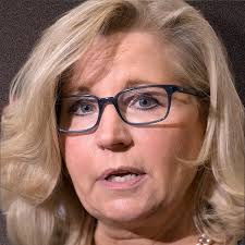 Liz Cheney Movies and Shows