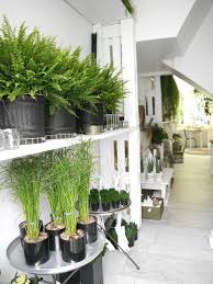 Abaca Le Touquet Paris Plage Detail Touquet Paris Plage Touquet Le Touquet