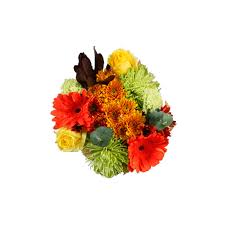 We did not find results for: Gerbera Flower Arrangements