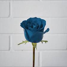 The flower rose lacks the specific gene or pigmentation which has the ability to produce colors of true blue. Roses Color And Number Of Stalks Meaning Scentales Florist