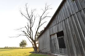 Maybe you would like to learn more about one of these? Questions About Emmett Till Here Are The Answers