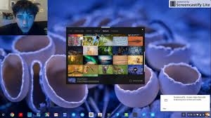If an image that is chosen from the my. How To Change Your Wallpaper On A Bcsc Chromebook If Blocked Youtube