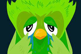 Hàng nghìn giáo viên đã sử dụng nó để tăng cường cho các bài học của mình. Duolingo Is A Waste Of Your Time If You Want To Learn A Language