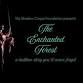 Shadow Cirque Foundation presents: The Enchanted Forest