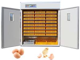 نتیجه جستجوی لغت [incubator] در گوگل