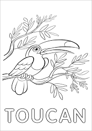 All toucan coloring pages can be downloaded or printed for free. Toucan Coloring Page Printable Coloringbay